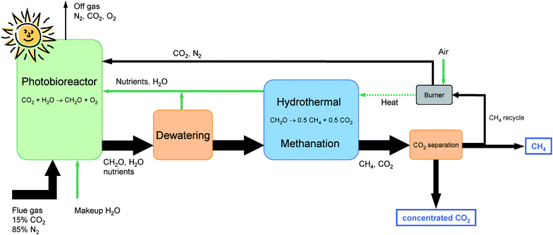 Simplified sketch of the process. The sum formula CH2O is a simplified representation of the algal biomass. The thickness of the black arrows is proportional to the molar flow of carbon. The utilization efficiency of the CO2 injected in the photobioreactor was taken as 90%.8 The green (light) arrows represent non-carbon flows. Their thickness is arbitrary.