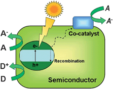 Pictorial diagram showing the main events of photocatalysis over semiconductors.