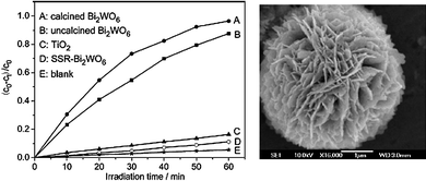 Left panel: Photocatalytic degradation of aqueous rhodamine B over flower-shaped Bi2WO6 (A); uncalcined (B); TiO2 Degussa P25 (C); and solid-state synthesized Bi2WO6 (D). Right: SEM image of uncalcined hydrothermally treated Bi2WO6 superstructure. Figure adapted from ref. 143.