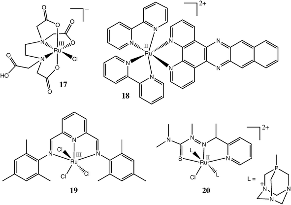 Representative Ru complexes with polydentate ligands tested as anticancer drugs.