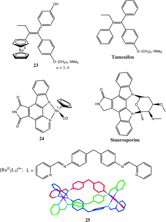 Representative Ru complexes designed as structural analogues of known biologically active compounds.