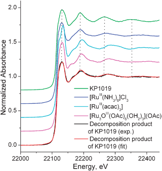 Representative K-edge X-ray absorption spectra of model Ru compounds (solids mixed with boron nitride in ∼1 : 10 ratio) and decomposition products of KP1019 in cell culture medium (Advanced DMEM from Invitrogen, supplemented with 2% fetal calf serum and 0.50 mM KP1019, incubated for 4 h at 37 °C, then freeze-dried). The spectra were collected at the Australian National Beamline Facility (beamline 20B at the Photon Factory, Tsukuba, Japan) at 14 K, using the fluorescence detection mode (36-pixel Ge detector). The experimental spectrum of the decomposition products of KP1019 (black line) was fitted (red line, R = 0.9994) with a linear combination of spectra of model compounds: [RuIII(NH3)6]Cl3, 60 ± 2%; [RuIII(acac)3], 14 ± 2% (acac = acetylacetonato = 2,4-pentanedionato(−)); [Ru3IIIO(OAc)6(OH2)3](OAc), 16 ± 3%; and KP1019 (11 in Chart 1), 10 ± 2%. Details of experiments and data processing were similar to those described previously (ref. 141 and 142).
