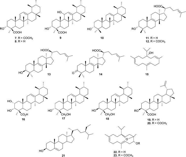The structures of various terpenoids from B. serrata.