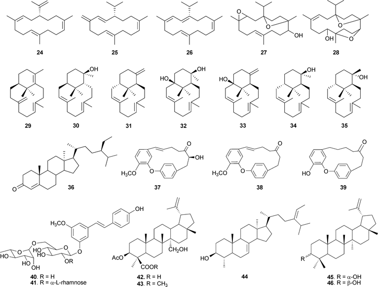 The structures of various compounds from other Boswellia sp.