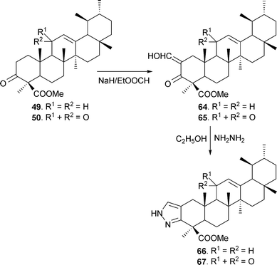 Synthesis of pyrazole derivatives of BAs.