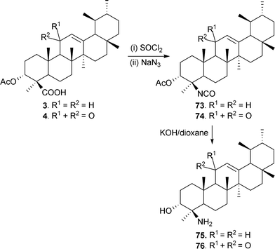 Synthesis of 4-amino analogues of BAs.
