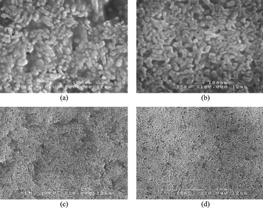 
          FESEM micrographs (secondary electron images) showing the nanostructures of (a) HCS–HA and (b) SA–HA composite films. Images (c) and (d) are lower magnifications of (a) and (b) respectively, showing the spatial distribution of HA particles in the polymer matrix.