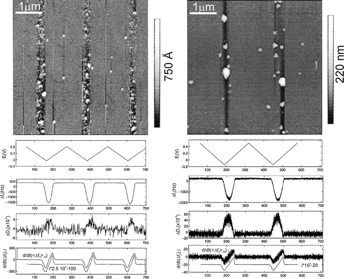 Left column: Silver deposition on gold. Right column: Copper deposition on gold. Top image: AFM topography image showing the effects of metal deposition. Evolution of the electrochemical potential (first plot), 3rd overtone frequency and damping shifts measured with QCM (second and third plots, respectively), and current and time derivative of the frequency shift. For copper, bigger granules are deposited and the higher roughness detected with AFM may help to interpret the higher damping values obtained for this system as compared to those obtained for silver. (Reproduced with permission of ECS – The Electrochemical Society from ref. 13).
