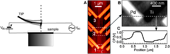Left: Scheme of the basic principle of KPFM. A sinusoidal [Vac sin(ωelt)] and a bias voltage are applied across the sample. As a result, the tip oscillates at ωel and at 2ωel. VCPD is obtained by nulling the signal at ωel. Right: AFM image (A) and KPFM image (B) of a gap between 4 nm-thick platinum (Pd) and titanium (Ti) electrodes (substrate, SiO2/Si). (C) is a profile of the discontinuous line across the metal gap depicted in (B), showing the lateral resolution of the KPFM image as the lateral distance between the contact potentials of Pd and Ti (approximately 100 nm, reproduced with permission from ref. 10. Copyright 2007. American Chemical Society).