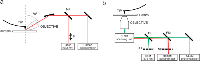 
          Tip-enhanced Raman spectroscopy (TERS) in reflection mode (a) and confocal mode (b).