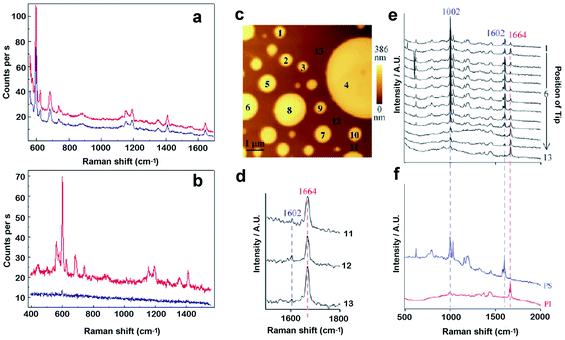 Left: Effect of tip-enhancement on the Raman spectrum of Brilliant Cresyl Blue, using (a) a gold-coated AFM tip or (b) an etched bold wire (reproduced from ref. 33 with kind permission of the European Physical Journal). Blue traces correspond to the withdrawn probe, while red traces to the engaged probe. Right: Chemical identification of film constituents. (c) AFM topography image of a blend copolymer film composed of polystyrene (PS) and polyisoprene (PI) showing circular protrusions. (d) Sequence of Raman spectra collected at the positions depicted in (c). (e) Raman spectra of pure PS and PI. (f) Magnified view of spectrum collected in background positions. Protrusions are shown to be PS-enriched, on a PI-enriched background (reproduced from ref. 41 with kind permission of the European Physical Journal).