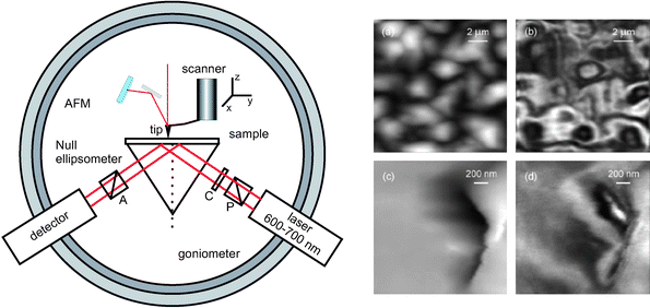 Left: Instrumental configuration for AFM + ellipsometry. Null ellipsometry requires a polarizer (P) and a compensator (C) in the laser arm and an analyser (A) in the detector arm. Right: AFM and SNEM images of a polycrystalline film of a thermotropic liquid crystal (gray scales 0–1.12 µm (a), 0–265 mV (b), 0–1.14 µm (c) and 0–42 mV in d) (reprinted with permission from ref. 20. Copyright 2001, American Institute of Physics).