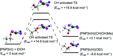 DFT calculated structures and transition states of the oxidative addition of the O–H and methylene C–H of EtOH to [PNPPri]Ir(i). Only the EtOH and immediate coordination sphere are shown (Ir shown in green, P purple, N blue, O red, C gray, H white).