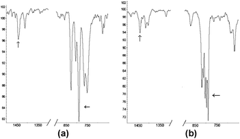 IR spectra: (a) phase A with the trans–trans form and (b) phase C with the trans–cis form of DPTT.