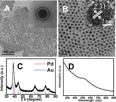 (A, B) TEM images of as-synthesized PdAu nanoparticles at different magnification (particle size of 7.4 nm). Insert images show an electron diffraction image and a HRTEM of the PdAu nanoparticles, respectively; (C) XRD pattern of the product and (D) UV-vis spectrum of the nanoparticles.