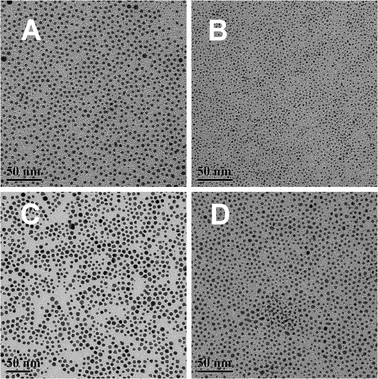 TEM images of as-synthesized bimetallic nanoparticles: (A) 4.2 nm PdAg; (B) 1.9 nm PdCu; (C) 6.3 nm AuPt; (D) 4.0 nm AuAg. The scale bars are 50 nm. All images were acquired without a size selection process.