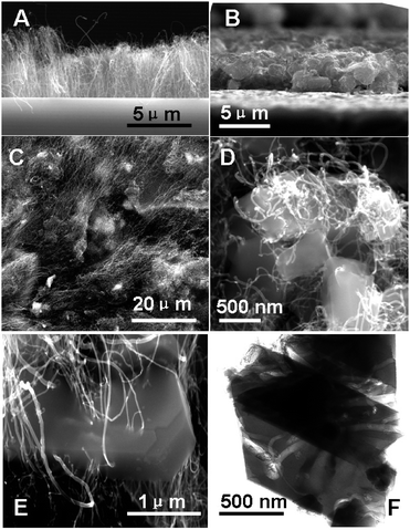 
          SEM images of (a) CNTs@SiC-wafer; (b) ZSM-5/CNTs@SiC-wafer; (c) CNTs@SiC; (d), (e) ZSM-5/CNTs@SiC and TEM image of (f) mesoporous zeolite crystals detached from the silica carbide support.
