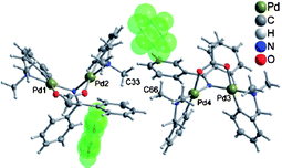 View of the asymmetric unit of [{(N,N-dimethylbenzylamine-κN,κC)Pd}2(μ-OAc)(μ-NCPh2)]·0.25C6H5CH3 which exhibits Z′ = 2. The solvate structure is formed as a result of the toluene solvent loss from a corresponding solvate with Z′ = 1.17