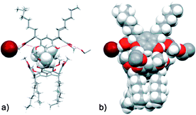 The molecular capsule in the crystal structure of 1b/3Br shown in schematic (a) and space-filling (b) mode to the left.37