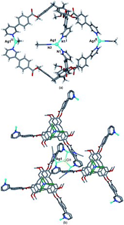 From the crystal structure of [Ag3(MeCN)3(L6)2Cl](BF4)2·3(MeCN) (a) One trigonal bipyramidal coordination cage. (b) Three cages bridged by μ3-Cl− with disordered MeCN guests shown in green.47