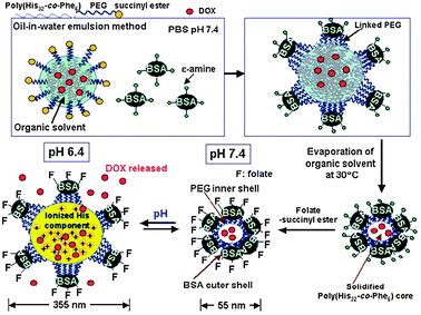 Viral mimetics, consisting of a hydrated PEG-based hydrogel, pH-swellable core and anti-cancer drug payload. Reproduced from ref. 82 with permission.