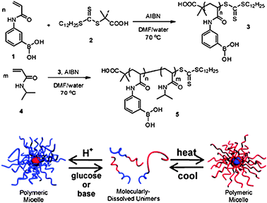 Triply responsive boronic acid-containing polymers. Supramolecular structures can be inverted through changes in temperature, pH and molecular recognition. Reproduced from ref. 36 with permission.