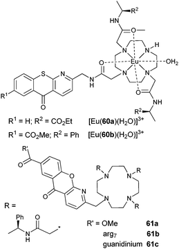 Cyclen derivatives and tripodal ligand for MPA experiments.486,491
