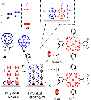 Notional SHJ photosystems made from supramolecular polymer brushes.