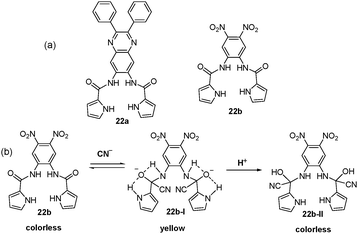 (a) Structures of 22a and 22b. (b) Proposed cyanohydrins formation from reaction of 22b with cyanide.