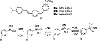 Structures of probes 38a–c and mechanism of cyanide addition to boronic acid adduct.