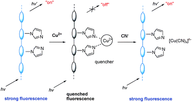 Schematic representation of Cu2+ and cyanide sensors based on the fluorescence ‘‘turn-off’’ and ‘‘turn-on’’ of polyacetylenes.