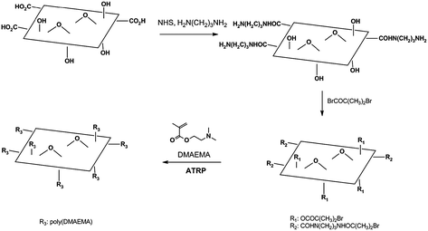 Synthesis of PDMAEMA chains on graphene oxide by ATRP (adapted from ref. 76).
