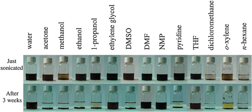 Digital pictures of as-prepared GO dispersed in water and 13 organic solvents through ultrasonication (1 h). Top: dispersions immediately after sonication. Bottom: dispersions 3 weeks after sonication. The yellow color of the o-xylene sample is due to the solvent itself (from ref. 41).