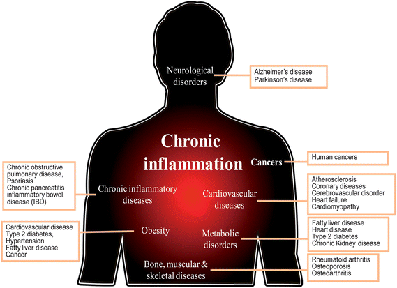 Chronic inflammation is linked to human diseases.