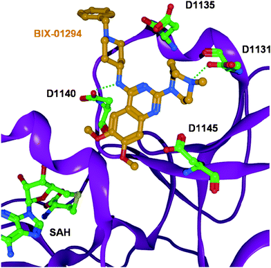 Crystal structure of the G9a methyltransferase in complex with the inhibitorBix-01294 (coloured orange). The inhibitor is involved in two hydrogen bonds to D1131 and D1140. (The cofactor analogue SAH is coloured green and the protein backbone is shown as purple ribbon. Only interacting residues of G9a are displayed).