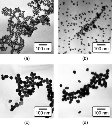 TEM micrographs of as-synthesized (a) 15 nm and (c) 40 nm Au NPs, and functionalized (b) 15 nm and (d) 40 nm Au NPs, showing that the particle size did not change after functionalization.