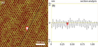 Phase-separated PS-b-PEO template. (a) AFM topography image of self-assembled PS-b-PEO block films, and (b) apparent topographic AFM profile taken along the line in (a). For AFM images the scan size is 1 μm × 1 μm, and the height scale is 10 nm.