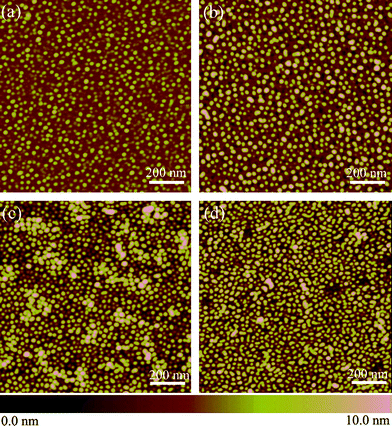 Planar AFM images of the print-etched dots on silicon after cleaning the self-assembled PS-b-PEO templates, at different etch times. (a) 10 s, (b) 1 min, (c) 10 min and (d) 30 min. For all AFM images the scan size is 1 μm × 1 μm and the height scale is 10 nm.