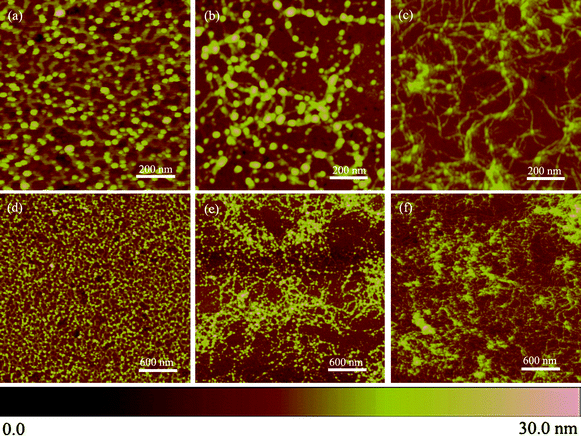 AFM images of the print-etched nanoprotrusions directly on silicon at different etch times. (a, d) 2 min; (b, e) 5 min; (c, f) 30 min. For all AFM images the scan size is 1 μm × 1 μm in (a–c), and 3 μm × 3 μm in (b–f); the height scale is 30 nm.
