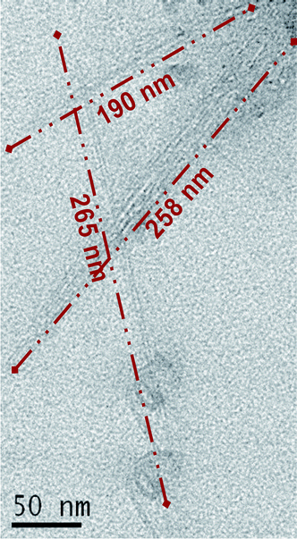 TEM image of SWNT following cyclodextrin-mediated soft cutting. The lengths of three representative tubes are shown. The average SWNT length is ca. 300 nm.