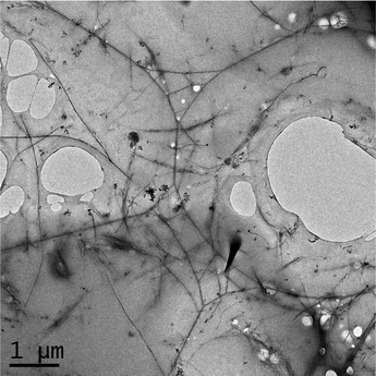 TEM image of cyclodextrin shortened SWNT in PLGA at a weight ratio of 1%.
