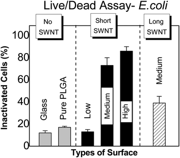 Percent inactivated E. coli on SWNT–PLGA films, as determined by LIVE/DEAD® Assay, for various SWNT lengths and concentrations (as defined in the caption to Fig. 3).