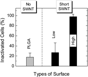 Percent inactivated S. epidermidis on SWNT–PLGA films, as determined by LIVE/DEAD® Assay, for short SWNT at high and low concentrations (as defined in the caption to Fig. 3).