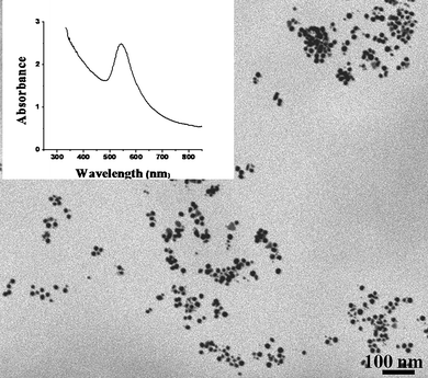 Field emission scanning electron micrograph of gold nanoparticles formed using lecithin as a sole reducing/stabilizing agent. The inset shows their UV-visible absorption spectrum.