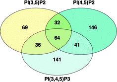 Venn diagram analysis of the purified phosphoinositide interacting proteins showing the number of common and unique proteins pulled down by PI(3,5)P2, PI(4,5)P2 and PI(3,4,5)P3.