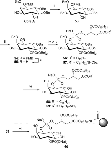 Synthesis of dipalmitoyl-PI(4)P 58 and immobilised NH2-PI(4)P 60. Reagents and conditions: i. Bu2SnO, BnBr, Bu4NBr, MeCN, 3 Å MS, reflux, 76%; ii. (BnO)2P(NiPr2), 1H-tetrazole, CH2Cl2, rt, then mCPBA, −78 °C → rt, 93% iii. CAN, MeCN–H2O (4/1, v/v), 84%; iv. phosphoramidite 34, 1H-tetrazole, CH2Cl2, rt, then m-CPBA, −78 °C → rt, 56: 78%; v. phosphoramidite 38, 1H-tetrazole, CH2Cl2, rt, then mCPBA, −78 °C → rt, 57: 77%; vi. H2 (15 or 4.1 bar), Pd black, NaHCO3, tBuOH/H2O (6/1), 58: 59% from 56; 59: 75% from 57; vii. Affi-Gel® 10, NaHCO3, CHCl3–MeOH/H2O (4/5/1, v/v/v), 0 °C → rt, 16% loading.