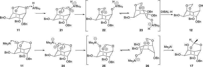 Proposed mechanisms of the Lewis acid-mediated regioselective cleavage of orthoformate 1142