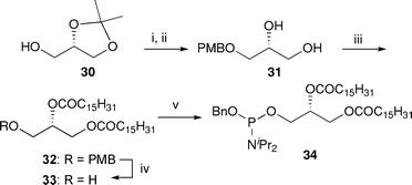 Synthesis of dipalmitoyl phosphoramidite 34. Reagents and conditions: i. NaH, PMBCl, DMF, 0 °C → rt, quant.; ii. p-TsOH, MeOH, reflux, 82%; iii. C15H31COCl, pyr., DMAP, CH2Cl2, 0 °C → rt, 88%; iv. DDQ, CH2Cl2–H2O (16/1, v/v), rt, 85%; v. (BnO)P(NiPr2)2, 1H-tetrazole, CH2Cl2, rt, 92%.