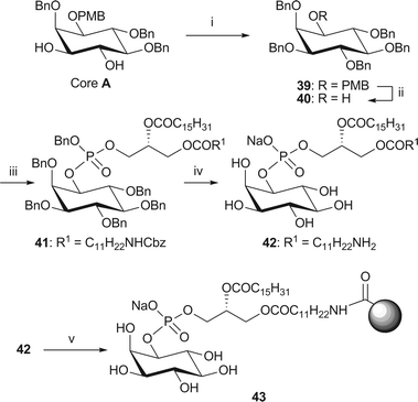Synthesis of immobilised NH2-PI 43. Reagents and conditions: i. NaH (3 eq.), BnBr, (3 eq.), TBAI, DMF, 49%; ii. CAN, MeCN–H2O (4/1, v/v), 85%; iii. phosphoramidite 38, 1H-tetrazole, CH2Cl2, rt, then mCPBA, −78 °C → rt, 73%; iv. H2 (4.1 bar), Pd black, NaHCO3, tBuOH/H2O (6/1), 76%; v. Affi-Gel® 10, NaHCO3, CHCl3–MeOH/H2O (4/5/1, v/v/v), 0 °C → rt, 9% loading.