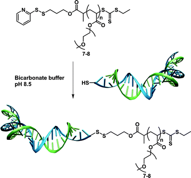 Synthesis of reversible siRNA–polymer conjugates by the RAFT technique.313